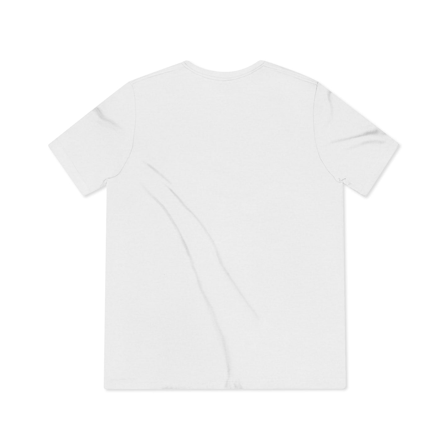 Sun-Kissed Triblend Tee, Beachwear, Summer Vibes, Casual Outfit, Venice FL Souvenir, Travel Gift