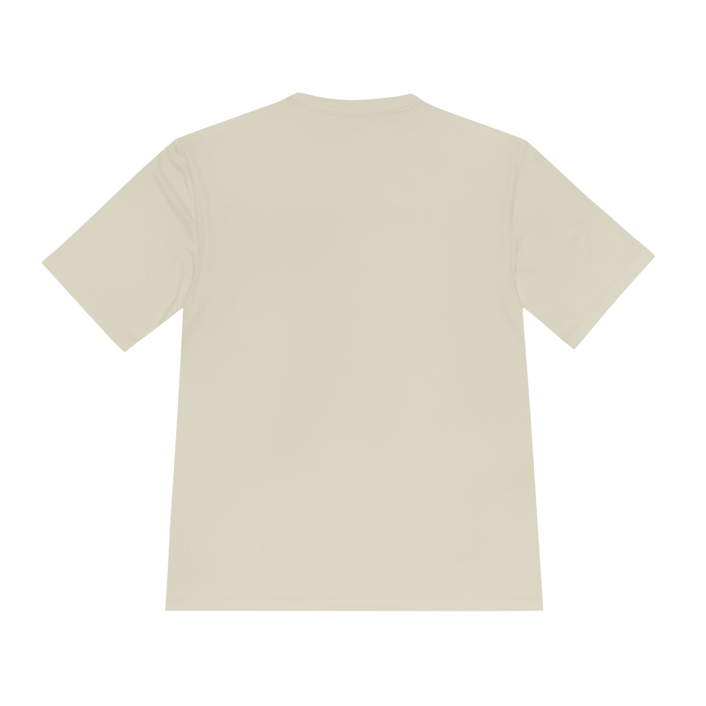 Sarasota, FL Gulf Coast Beach Graphic Tee - Palm Tree & Pier Moisture-Wicking Shirt